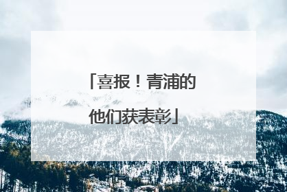 喜报！青浦的他们获表彰