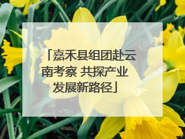 嘉禾县组团赴云南考察 共探产业发展新路径