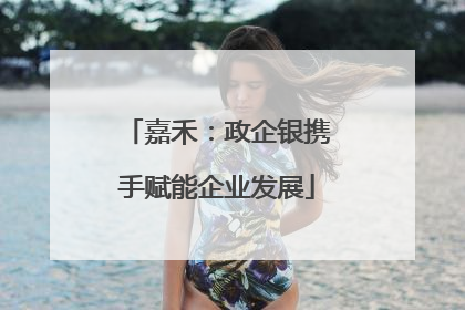 嘉禾：政企银携手赋能企业发展