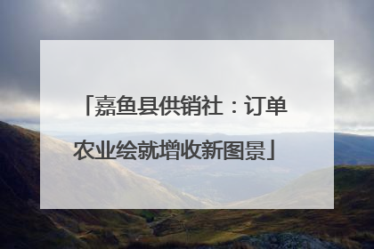 嘉鱼县供销社：订单农业绘就增收新图景