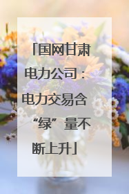 国网甘肃电力公司：电力交易含“绿”量不断上升