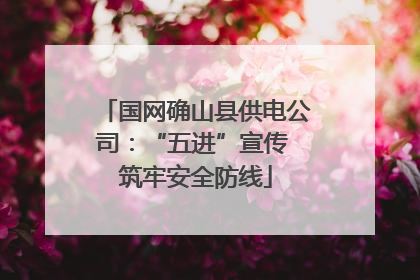 国网确山县供电公司：“五进”宣传 筑牢安全防线