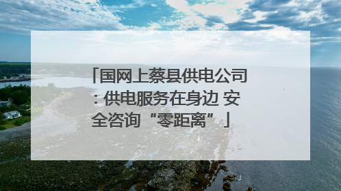 国网上蔡县供电公司：供电服务在身边 安全咨询“零距离”