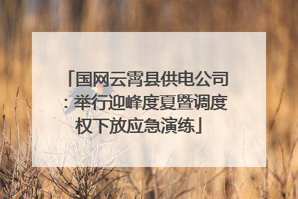 国网云霄县供电公司：举行迎峰度夏暨调度权下放应急演练