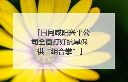 国网咸阳兴平公司全面打好抗旱保供“组合拳”