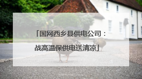 国网西乡县供电公司：战高温保供电送清凉