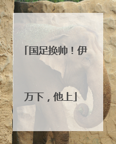 国足换帅！伊万下，他上