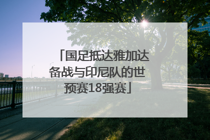 国足抵达雅加达备战与印尼队的世预赛18强赛