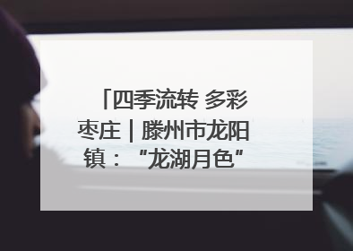 四季流转 多彩枣庄｜滕州市龙阳镇：“龙湖月色”向日葵花海 绘就乡村振兴新画卷