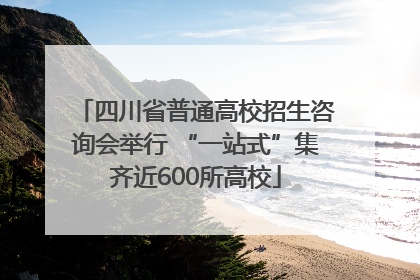 四川省普通高校招生咨询会举行 “一站式”集齐近600所高校