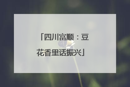 四川富顺：豆花香里话振兴