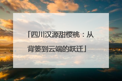 四川汉源甜樱桃：从背篓到云端的跃迁