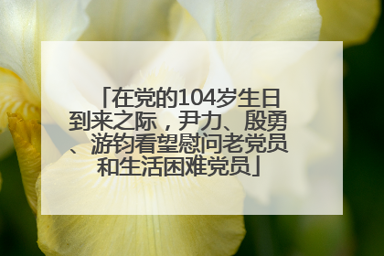 在党的104岁生日到来之际，尹力、殷勇、游钧看望慰问老党员和生活困难党员