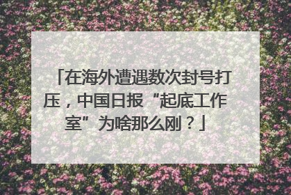 在海外遭遇数次封号打压，中国日报“起底工作室”为啥那么刚？
