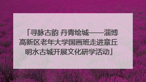寻脉古韵 丹青绘城——淄博高新区老年大学国画班走进章丘明水古城开展文化研学活动