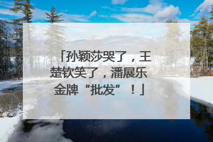 孙颖莎哭了，王楚钦笑了，潘展乐金牌“批发”！