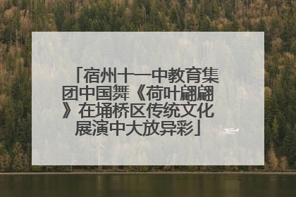 宿州十一中教育集团中国舞《荷叶翩翩》在埇桥区传统文化展演中大放异彩