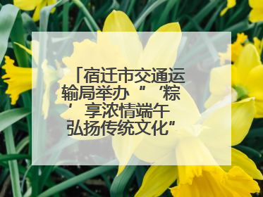 宿迁市交通运输局举办“‘粽’享浓情端午 弘扬传统文化”道德讲堂活动