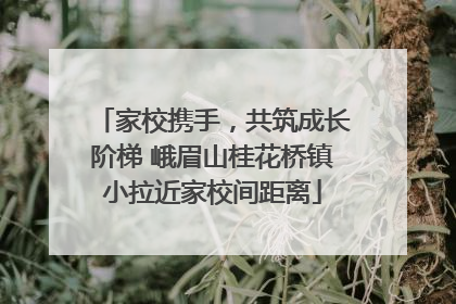 家校携手，共筑成长阶梯 峨眉山桂花桥镇小拉近家校间距离