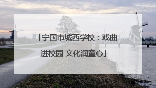 宁国市城西学校：戏曲进校园 文化润童心