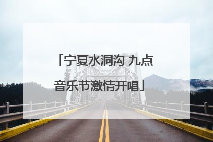 宁夏水洞沟 九点音乐节激情开唱