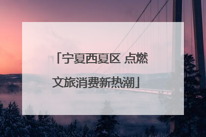 宁夏西夏区 点燃文旅消费新热潮