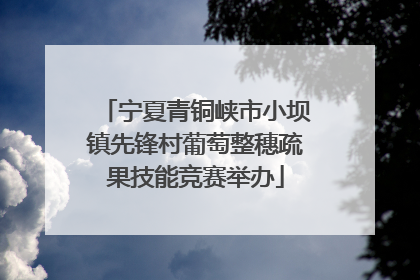 宁夏青铜峡市小坝镇先锋村葡萄整穗疏果技能竞赛举办