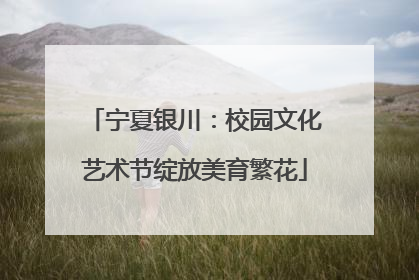 宁夏银川：校园文化艺术节绽放美育繁花