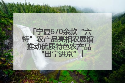 宁夏670余款“六特”农产品亮相农展馆 推动优质特色农产品“出宁进京”