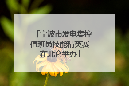 宁波市发电集控值班员技能精英赛在北仑举办