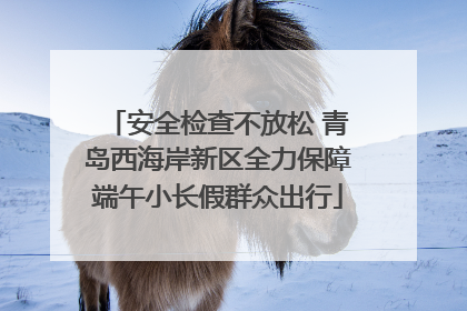 安全检查不放松 青岛西海岸新区全力保障端午小长假群众出行