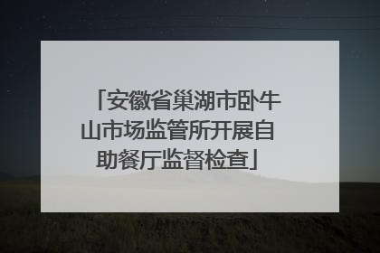 安徽省巢湖市卧牛山市场监管所开展自助餐厅监督检查