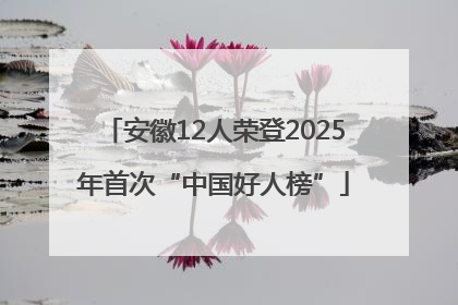 安徽12人荣登2025年首次“中国好人榜”