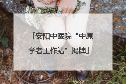 安阳中医院“中原学者工作站”揭牌