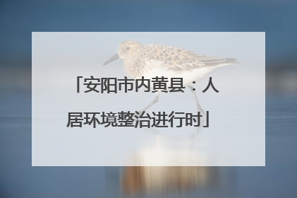 安阳市内黄县：人居环境整治进行时