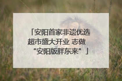安阳首家非遗优选超市盛大开业 志做“安阳版胖东来”