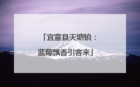 宜章县天塘镇：蓝莓飘香引客来