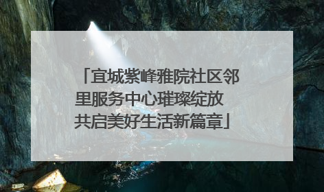 宜城紫峰雅院社区邻里服务中心璀璨绽放 共启美好生活新篇章