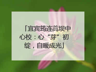 宜宾筠连蒿坝中心校：心“芽”初绽，自暖成光