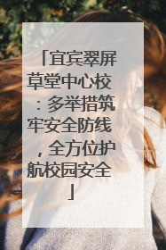 宜宾翠屏草堂中心校：多举措筑牢安全防线，全方位护航校园安全