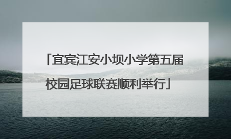 宜宾江安小坝小学第五届校园足球联赛顺利举行