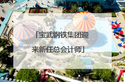 宝武钢铁集团迎来新任总会计师