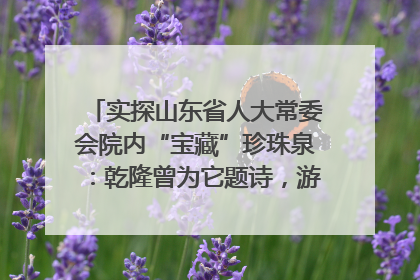 实探山东省人大常委会院内“宝藏”珍珠泉：乾隆曾为它题诗，游客无需预约免费游览
