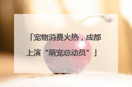 宠物消费火热，成都上演“萌宠总动员”