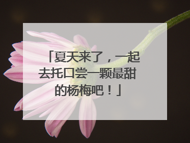 夏天来了，一起去托口尝一颗最甜的杨梅吧！