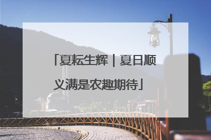 夏耘生辉｜夏日顺义满是农趣期待