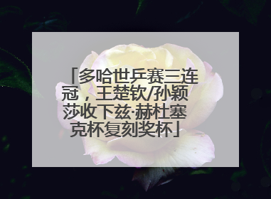 多哈世乒赛三连冠，王楚钦/孙颖莎收下兹·赫杜塞克杯复刻奖杯