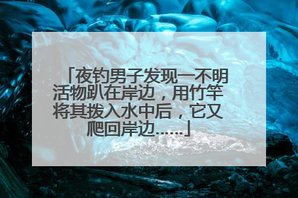 夜钓男子发现一不明活物趴在岸边，用竹竿将其拨入水中后，它又爬回岸边……