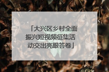 大兴区乡村全面振兴短视频征集活动交出亮眼答卷