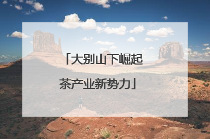 大别山下崛起茶产业新势力